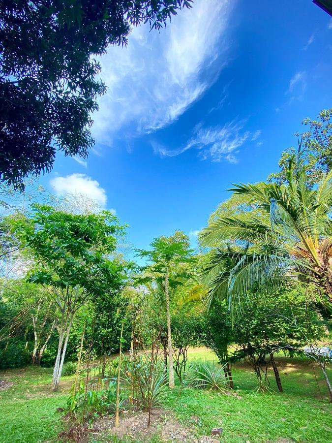 Hostal Portal Del Sol Capurganá المظهر الخارجي الصورة